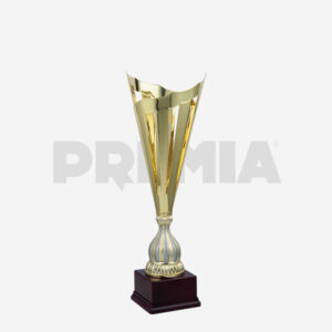 Trofeo 1698 | H. 46 > 50 cm - immagine 1